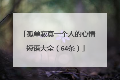 孤单寂寞一个人的心情短语大全(64条)