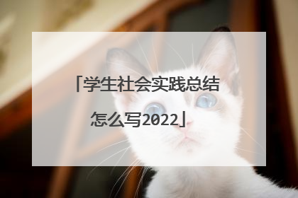 学生社会实践总结怎么写2022