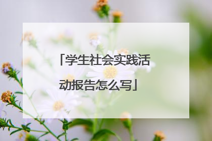 学生社会实践活动报告怎么写