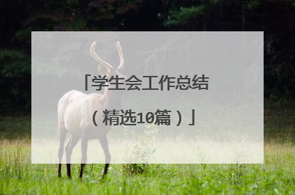学生会工作总结(精选10篇)
