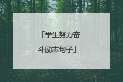 学生努力奋斗励志句子