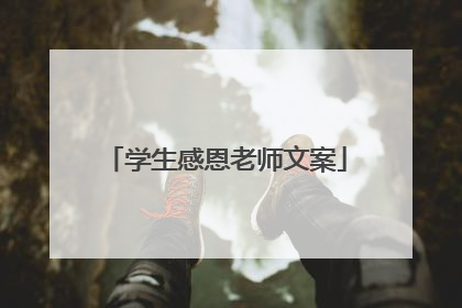 学生感恩老师文案