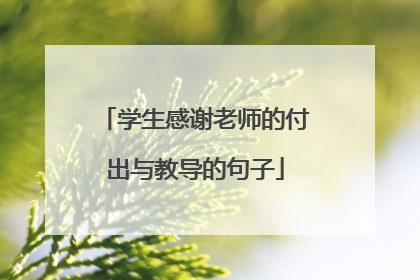学生感谢老师的付出与教导的句子