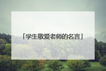 学生敬爱老师的名言
