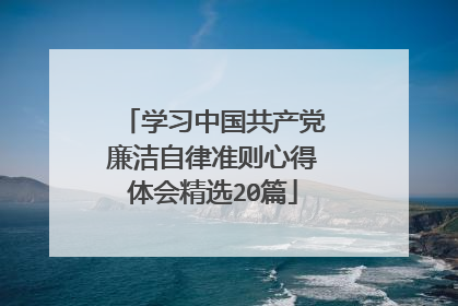 学习中国共产党廉洁自律准则心得体会精选20篇