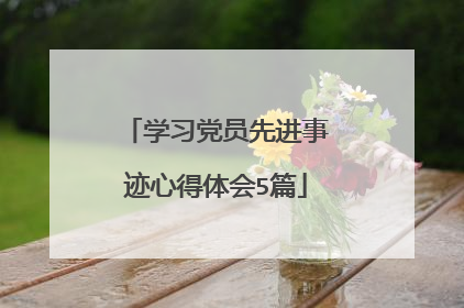 学习党员先进事迹心得体会5篇