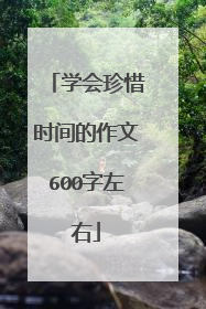 学会珍惜时间的作文600字左右