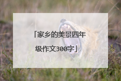 家乡的美景四年级作文300字