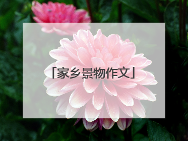 家乡景物作文