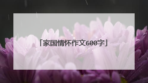 家国情怀作文600字