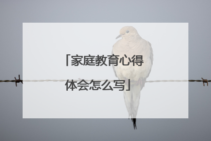 家庭教育心得体会怎么写