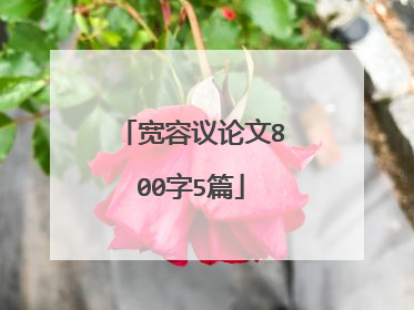 宽容议论文800字5篇