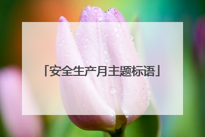 安全生产月主题标语