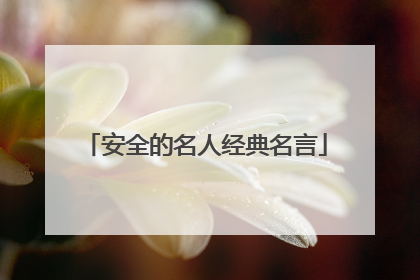 安全的名人经典名言