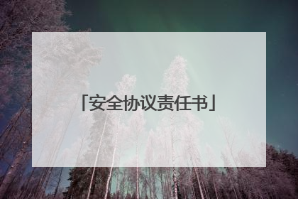 安全协议责任书