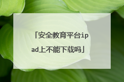 安全教育平台ipad上不能下载吗