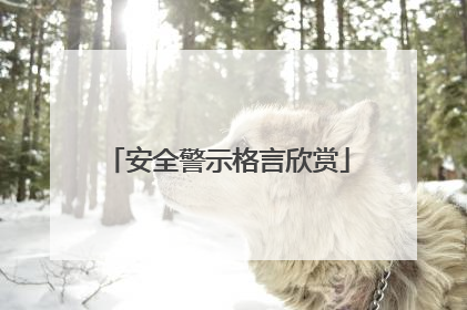安全警示格言欣赏