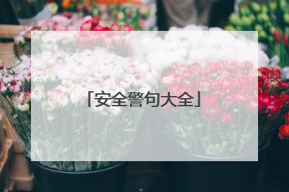 安全警句大全