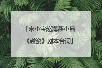 宋小宝赵海燕小品《碰瓷》剧本台词