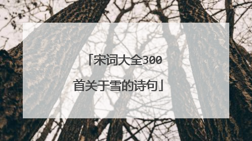 宋词大全300首关于雪的诗句