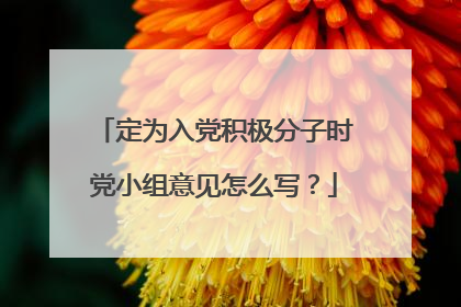 定为入党积极分子时党小组意见怎么写?