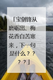 宝剑锋从磨砺出、梅花香自苦寒来，下一句是什么？？？？