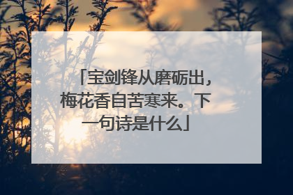 宝剑锋从磨砺出,梅花香自苦寒来。下一句诗是什么