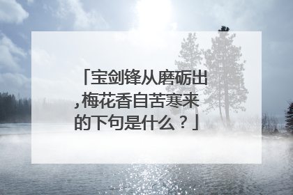 宝剑锋从磨砺出,梅花香自苦寒来的下句是什么？