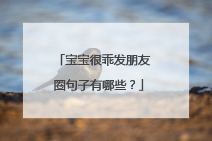 宝宝很乖发朋友圈句子有哪些?