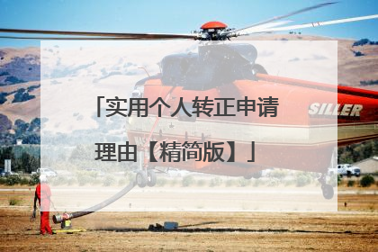 实用个人转正申请理由【精简版】