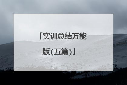 实训总结万能版(五篇)