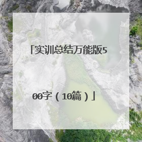 实训总结万能版500字（10篇）