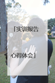 实训报告心得体会