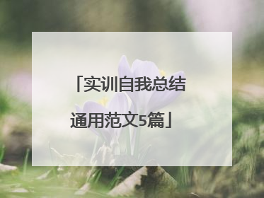实训自我总结通用范文5篇