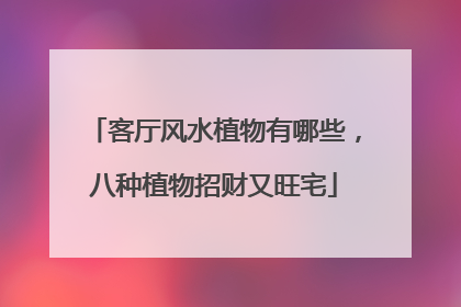 客厅风水植物有哪些,八种植物招财又旺宅