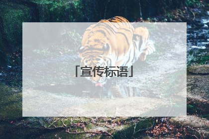 宣传标语