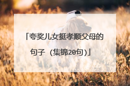 夸奖儿女挺孝顺父母的句子 (集锦20句)