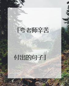 夸老师辛苦付出的句子