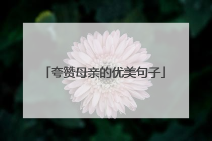夸赞母亲的优美句子