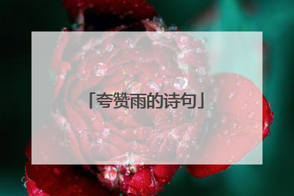 夸赞雨的诗句