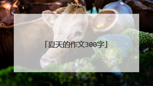 夏天的作文300字