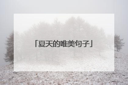 夏天的唯美句子