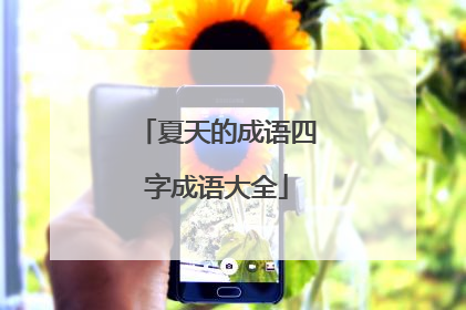 夏天的成语四字成语大全