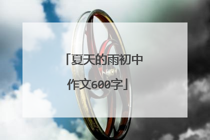 夏天的雨初中作文600字