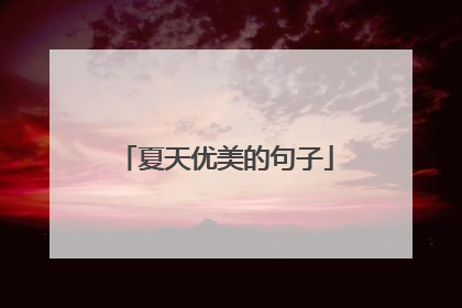 夏天优美的句子