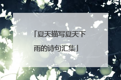 夏天描写夏天下雨的诗句汇集