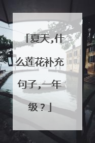 夏天,什么莲花补充句子,一年级？