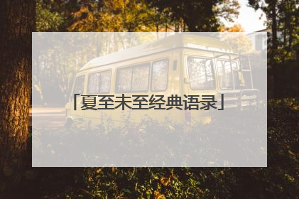 夏至未至经典语录