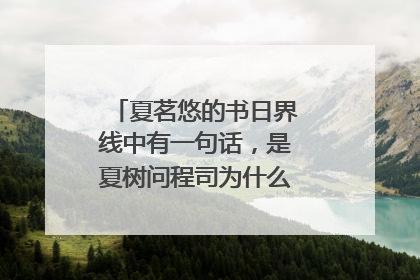夏茗悠的书日界线中有一句话，是夏树问程司为什么喜欢黎静颖的。