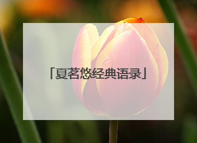 夏茗悠经典语录